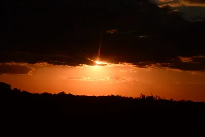 DSC_9729 (Large).JPG